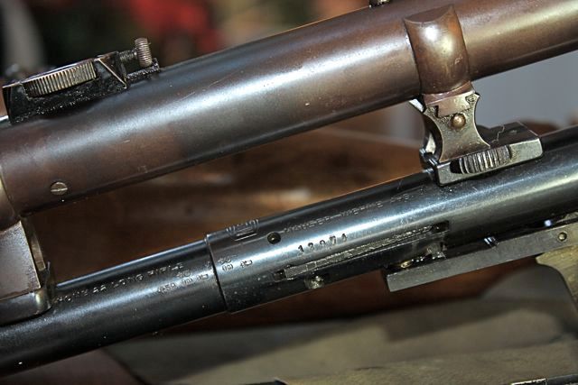 Mauser EL320/scope | Rimfire Central Firearm Forum