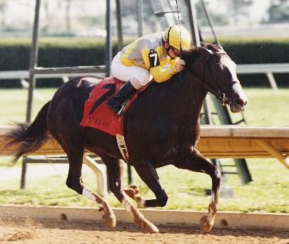 Keeneland photo Lesliecropped.jpg