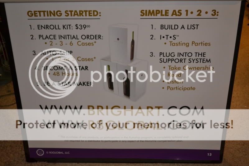 TL 130   Full Size MONAVIE Open Meeting Flip Chart Extra Large 