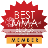 Best MMA Blogs Member
