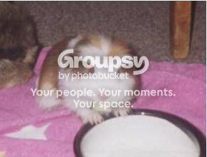 BabyTuppence.jpg