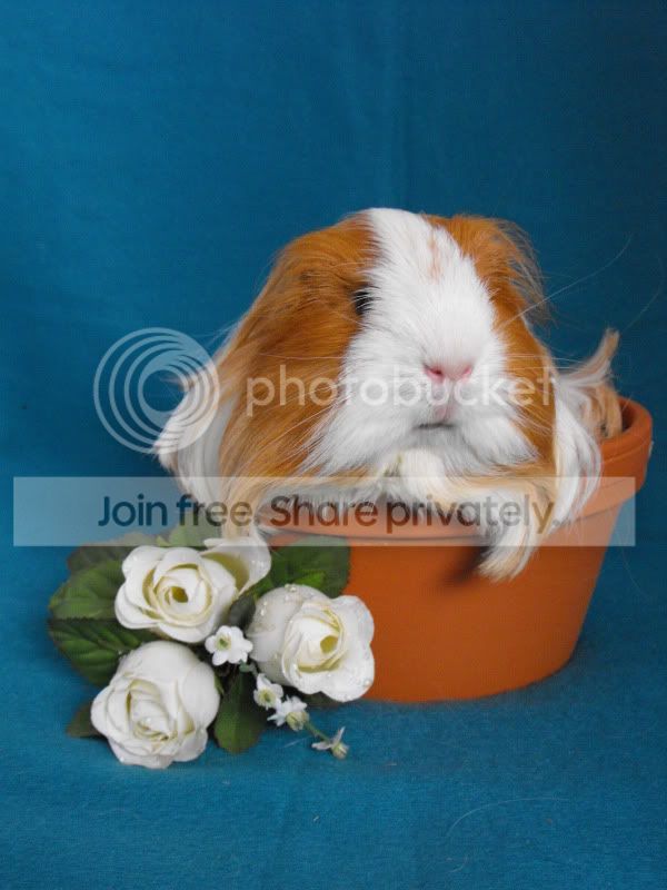 Errol12-02.jpg