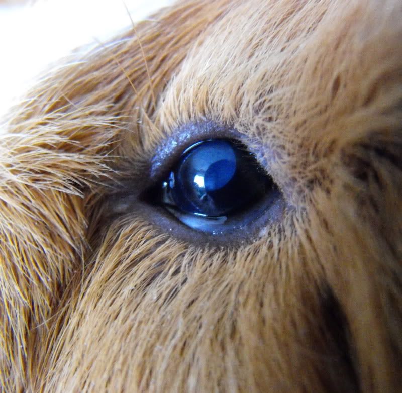 ErrolSlippedLens12-02.jpg