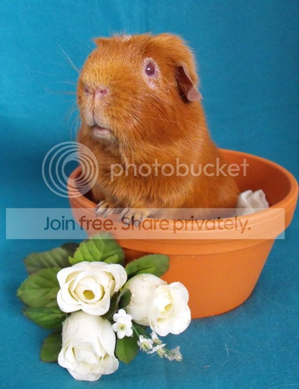 Franklyn12-02.jpg