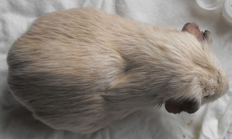 PeggyAboveView30Jul.jpg