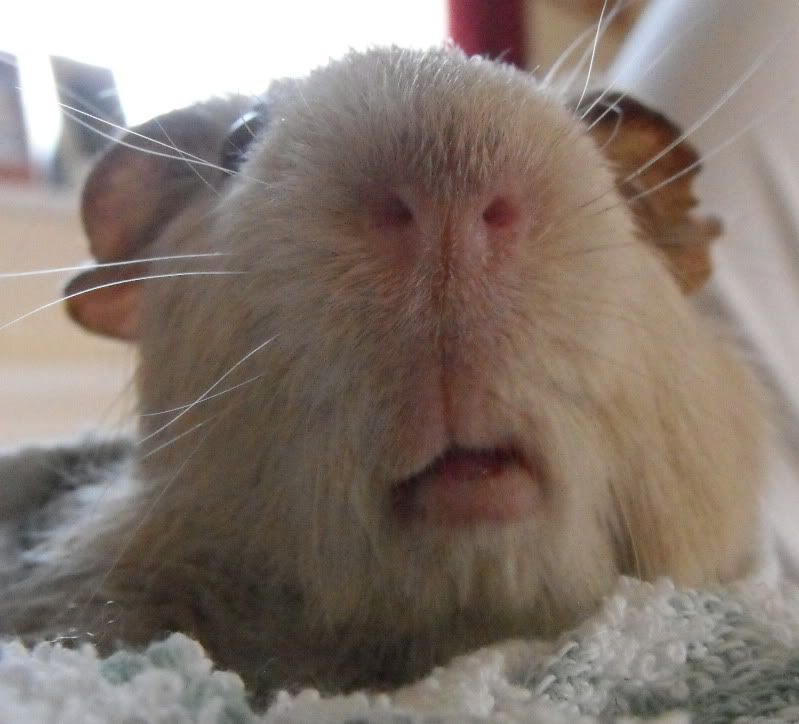 PeggyMouth26Jun.jpg