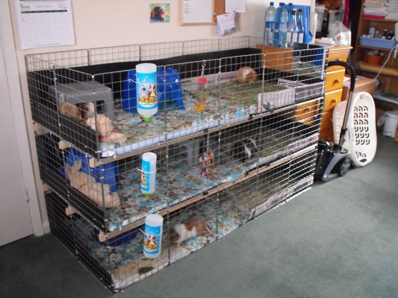 Setup3Groups3Aug.jpg