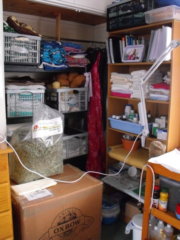SetupStorageShelves.jpg