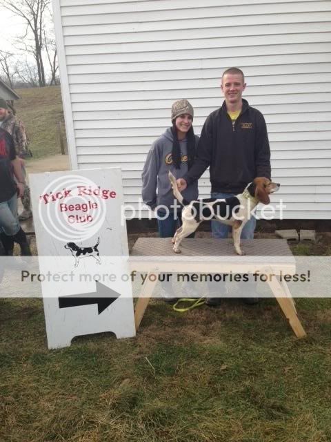  photo IMG_2220_zps90e0712f.jpg