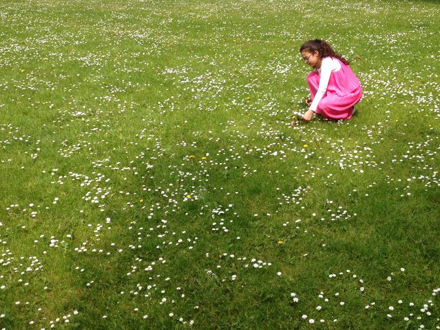 Child picking Flowers