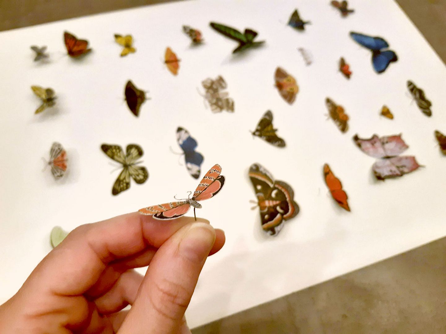  photo faux_taxidermy_butterflies_5.jpg