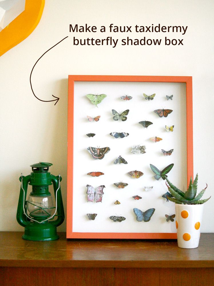  photo faux_taxidermy_butterflies_8.jpg