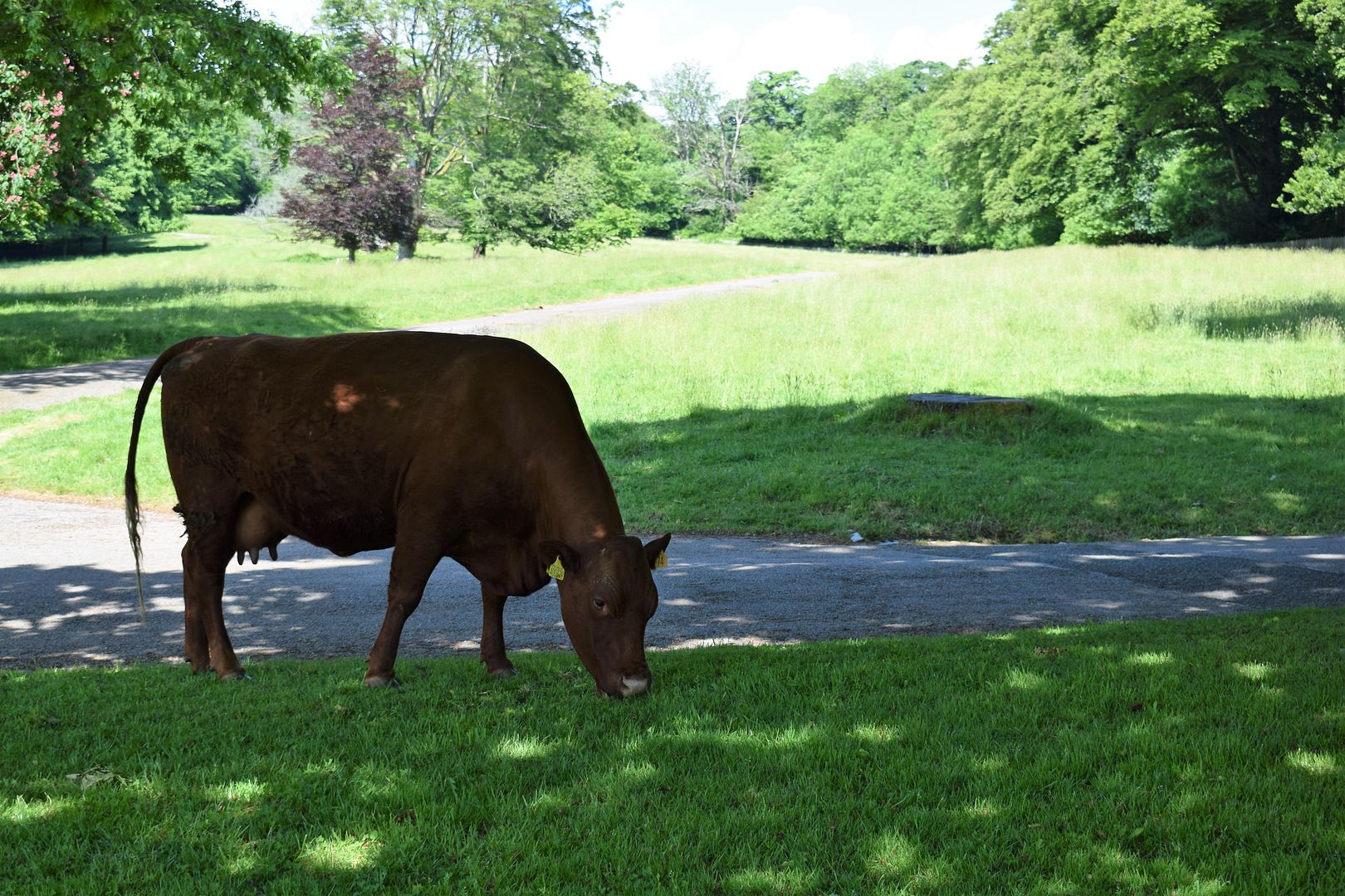 photo DSC_0480_zpszw7fy6ah.jpg