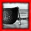 photo Longest Day_zps2oeeixxt.jpg