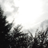 Photo - ANW