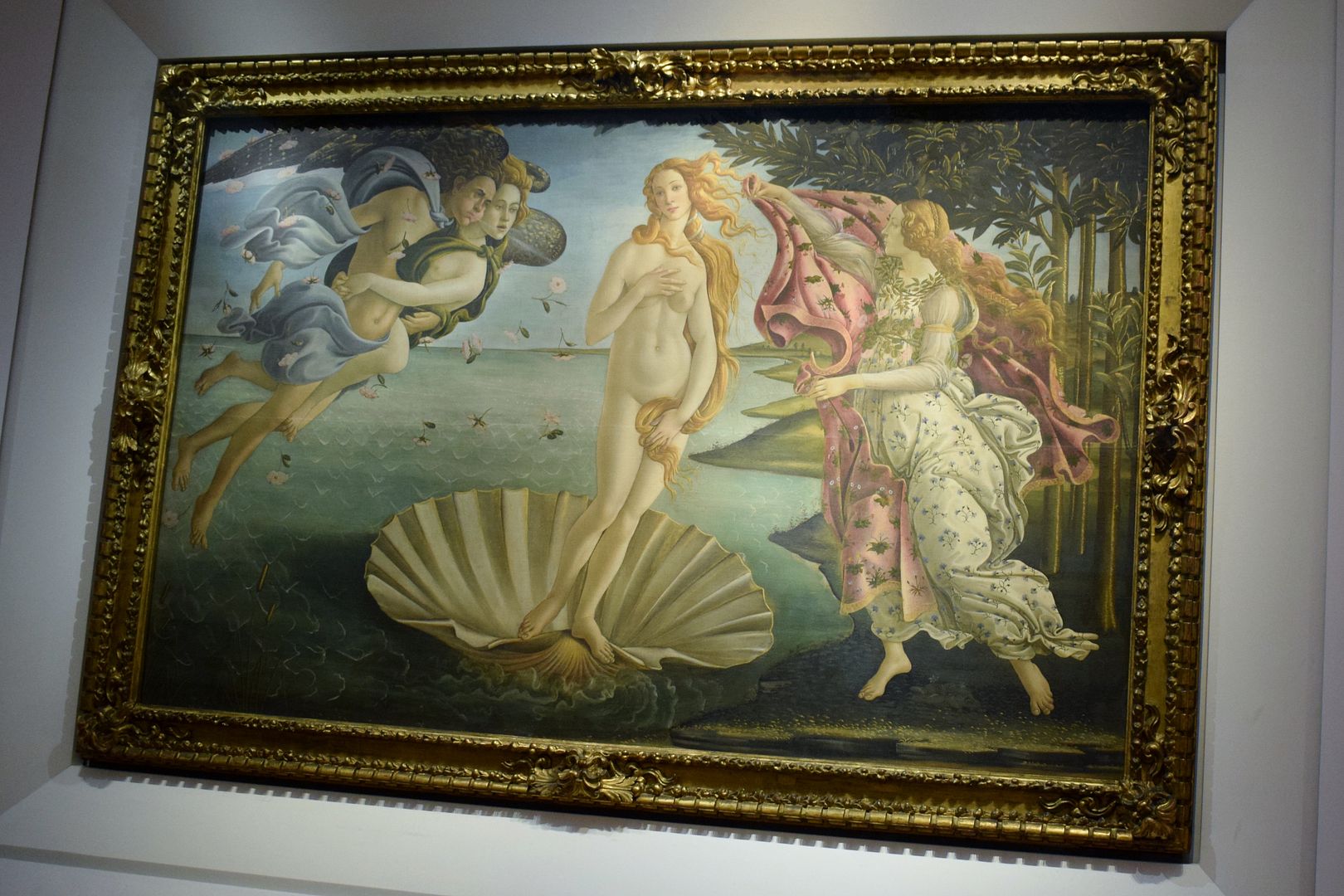 photo Bottecceli - Venus_zpsd0x6tjl1.jpg