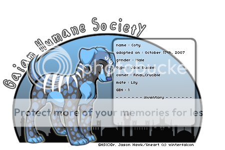 User Image
