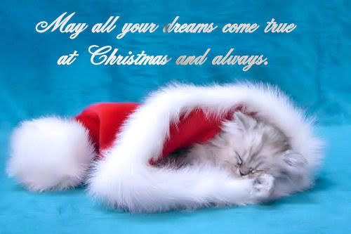 kittensantacapChristmasdreams.jpg