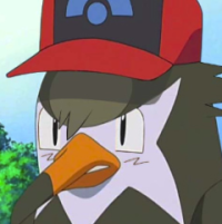 [PokeCommunity.com] x~-/...[the b i r d pokémon club].../-~x
