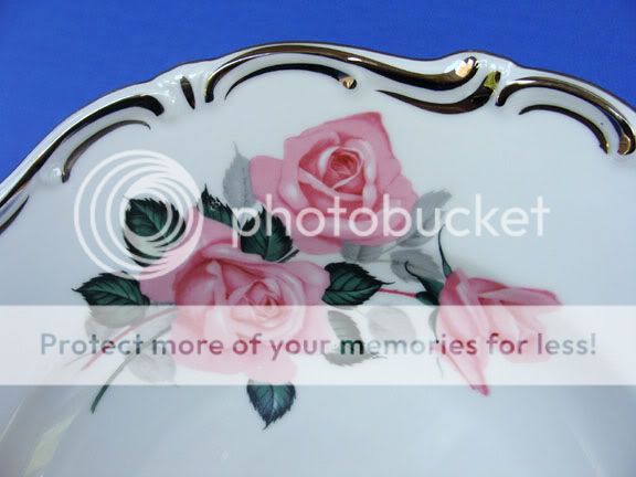 Germany Hertel Jacob Dresden Pink Roses Rim Soup Plate Porcelain Fine